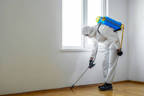Best Rat Extermination Near Me  in Lilburn, GA
