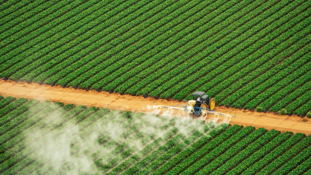 Best Best Pest Control Companies  in Lilburn, GA