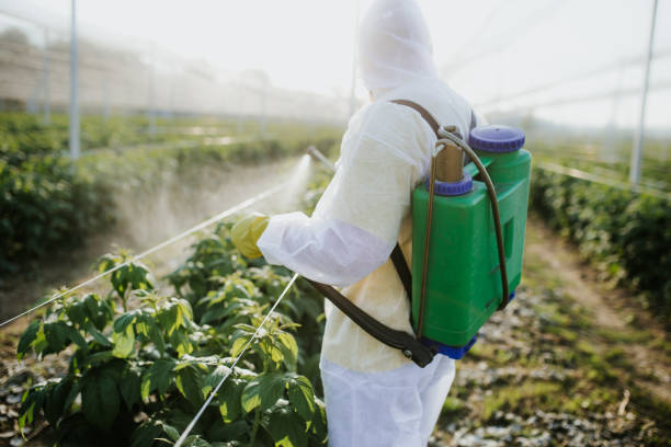 Best Pest Control Near Me  in Lilburn, GA